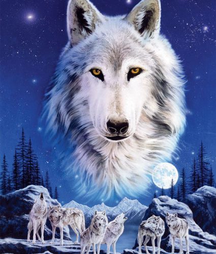 	پازل ۱۵۰۰ تکه گرگ ِ شب