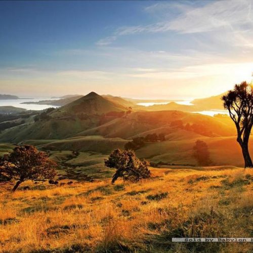 Harbour Cone، پازل، 1000 تکه ، Heye