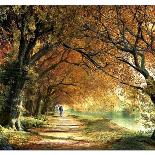 dominic davison forever autumn همیشه خزان 2000 ادوکا