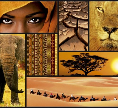 پازل آفریقا