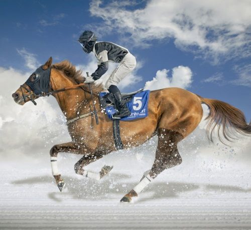 اسب سواری روی یخ