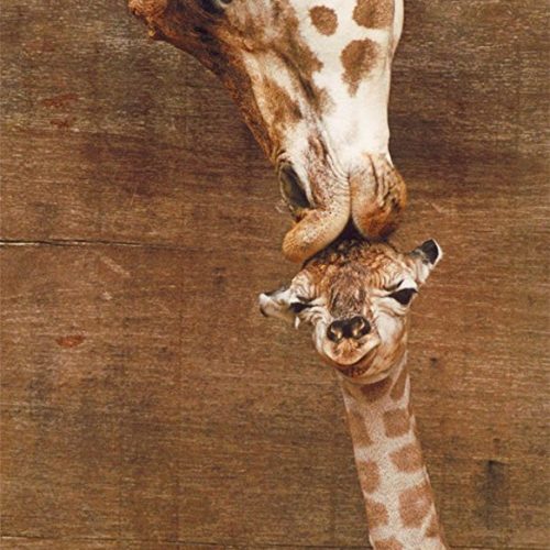 پازل ۱۰۰۰ تکه پانوراما اولین بــ و سه زرافه