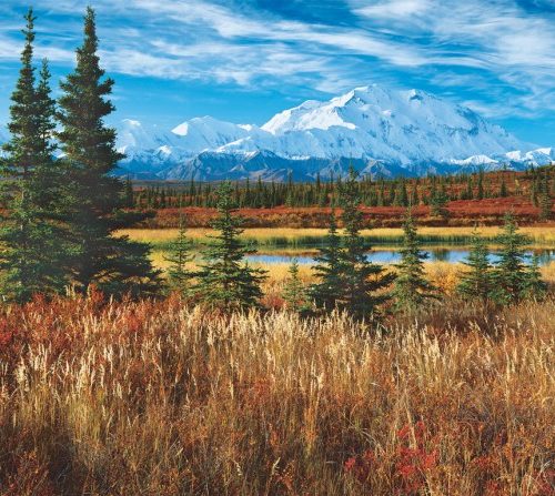 پازل ۱۵۰۰ تکه DENALI National Park – USA