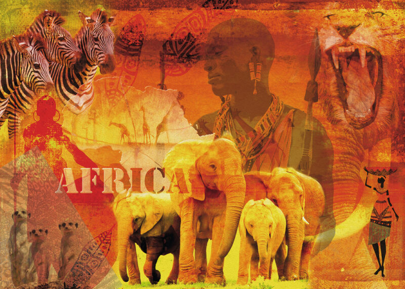 پازل ۱۰۰۰ تکه Impressions of Africa