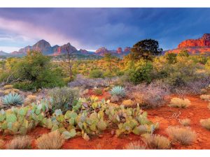 پازل ۴۰۰۰ تکه Red Rock Dusk – Arizona