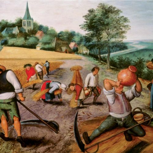 تابستان پازل 1000 تکه دی تویز dtoys