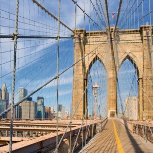 پازل ۱۰۰۰ تکه On Brooklyn Bridge