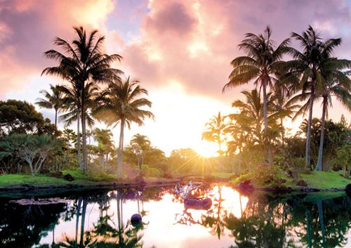 پازل ۲۰۰۰ تکه پانوراما درختان نخل