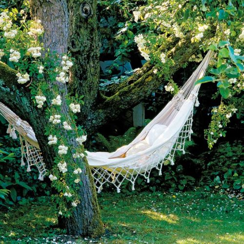 پازل ۱۰۰۰ تکه ننو اثر ماریون نیکیش