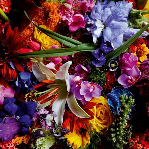 پازل ۱۰۰۰ تکه چراغ گلهای زنبق