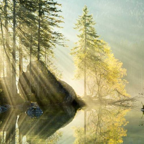 پازل ۱۰۰۰ تکه نور صبحگاهی اثر استفان هفله