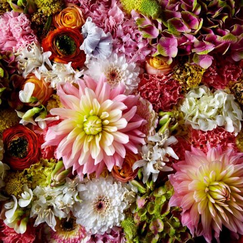 پازل ۱۰۰۰ تکه گل های کوکب