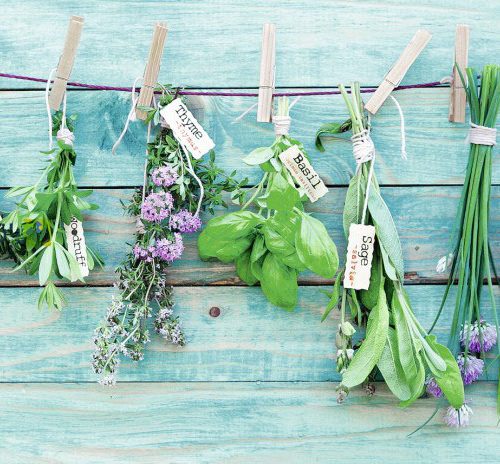 Puzzle Herb Garden Ravensburger