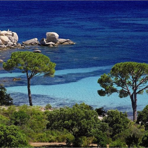 پازل ۱۵۰۰ تکه منطقه تاماریسیو - تاماروچیو - فرانسه