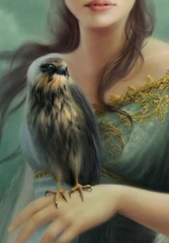 پازل ۱۰۰۰ تکه پانوراما شاهین بر دست اثر ملانی دلون