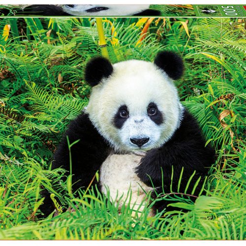 پازل ۵۰۰ تکه خرس پاندا