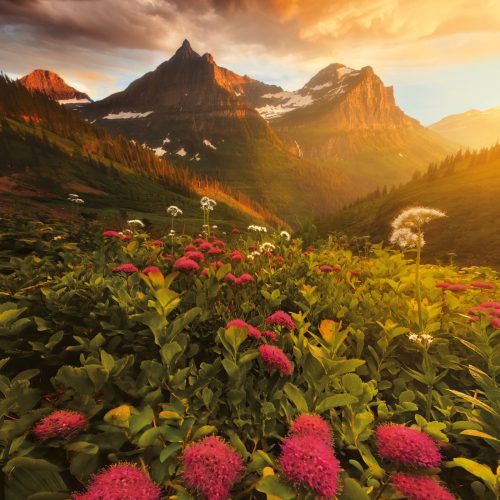 پازل ۱۰۰۰ تکه در حال پایین رفتن