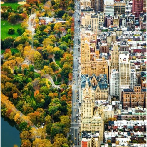 پازل ۱۵۰۰ تکه شهر تقسیم شده - نیویورک