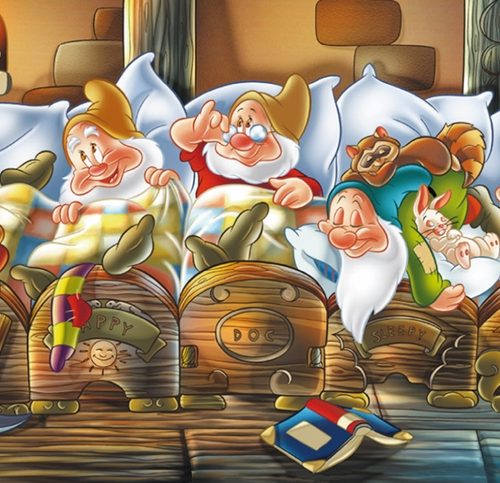 پازل ۱۰۰۰ تکه پانوراما سفید برفی و هفت کوتوله