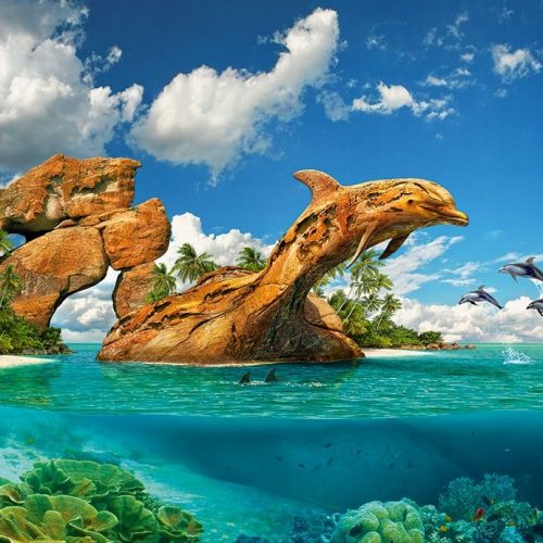 پازل ۱۰۰۰ تکه بهشت دلفین