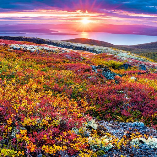 پازل ۱۰۰۰ تکه پالت شمالی