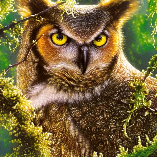 پازل ۱۰۰۰ تکه انتظار و نظاره