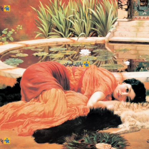 پازل ۱۰۰۰ تکه دلربای بی حوصله اثر جان ویلیام گادوارد