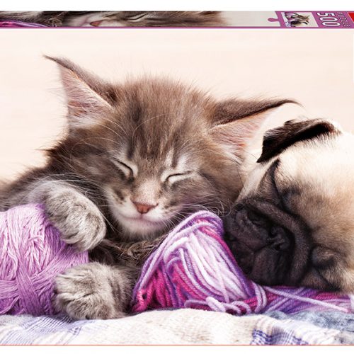 پازل ۵۰۰ تکه دوستان رویایی