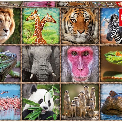 پازل ۱۰۰۰ تکه کلاژ حیوانات وحشی