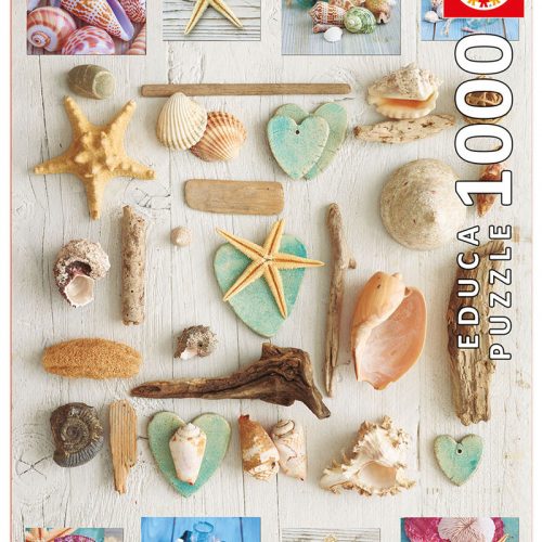 پازل ۱۰۰۰ تکه کلاژ صدف های دریایی