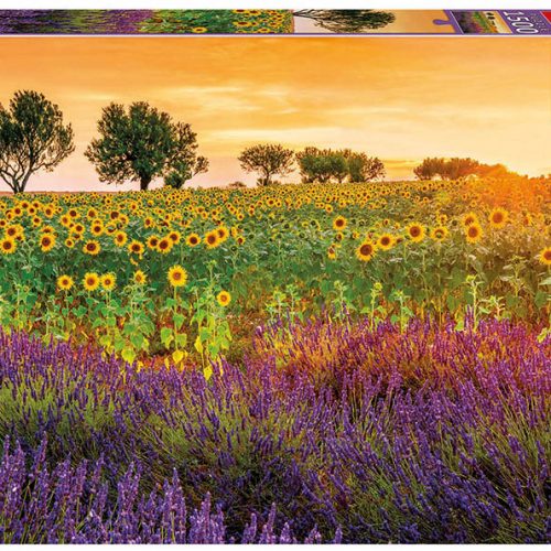 پازل ۱۵۰۰ تکه مزرعه آفتابگردان و اسطخدوس