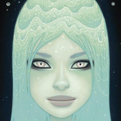 پازل ۱۰۰۰ تکه پانوراما آبشار کریستالی اثر تارا مک فرسن