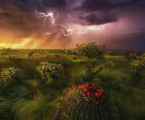 پازل ۱۰۰۰ تکه پانوراما افق طوفانی اثر مارک آداموس