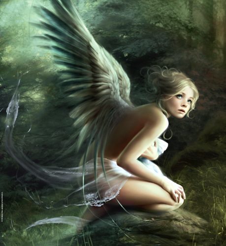 پازل ۱۰۰۰ تکه بیشه اثر ملانی دلون