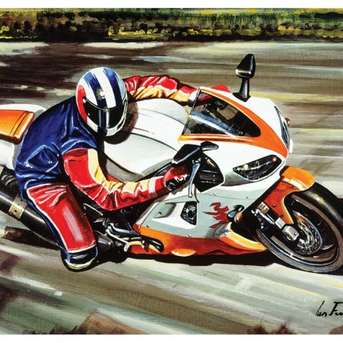 پازل ۵۰۰ تکه سرعت