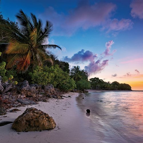 پازل ۱۰۰۰ تکه ساحل گرمسیری