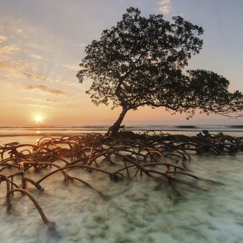 پازل ۱۰۰۰ تکه کرنای قرمز