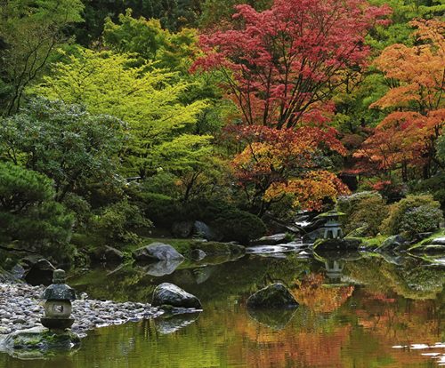 پازل ۱۰۰۰ تکه پانوراما بازتاب ذن اثر آرون رید