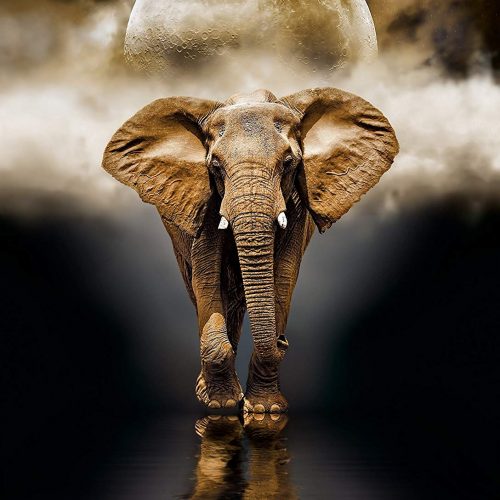 پازل ۱۰۰۰ تکه فیل