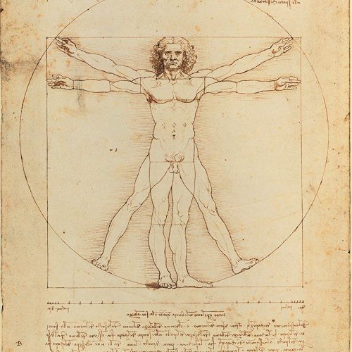 پازل ۵۰۰ تکه طراحی یک مرد اثر لئوناردو داوینچی