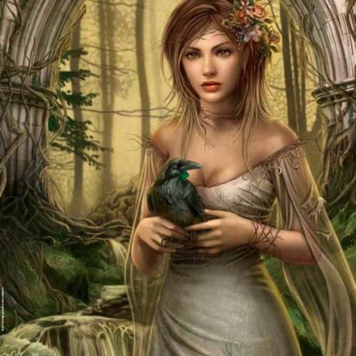 پازل ۱۰۰۰ تکه کلاغ اثر کریس اورتگا