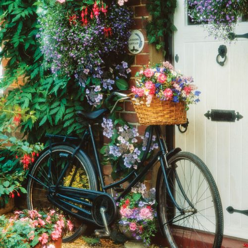 پازل ۵۰۰ تکه دوچرخه و گل ها