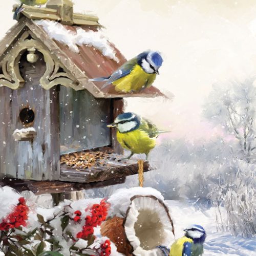 پازل ۵۰۰ تکه چرخ ریسک های سر آبی