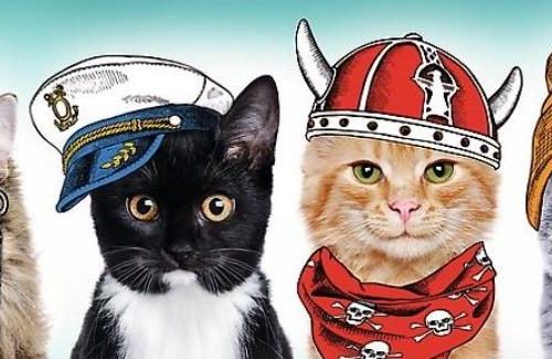 پازل ۵۰۰ تکه پانوراما تیم نرمالو ها