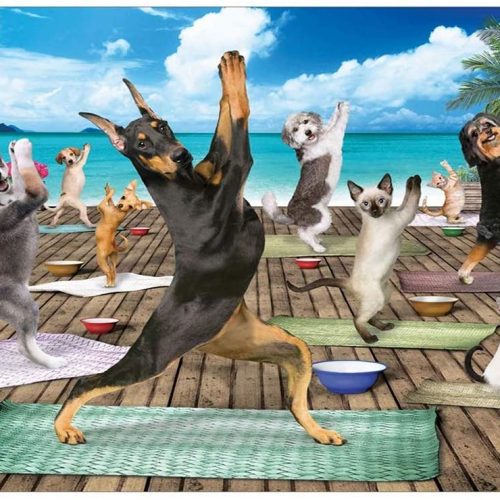 پازل ۵۰۰ تکه یوگا اسپا