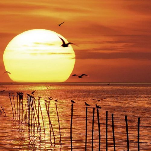 پازل ۵۰۰ تکه غروب جادویی