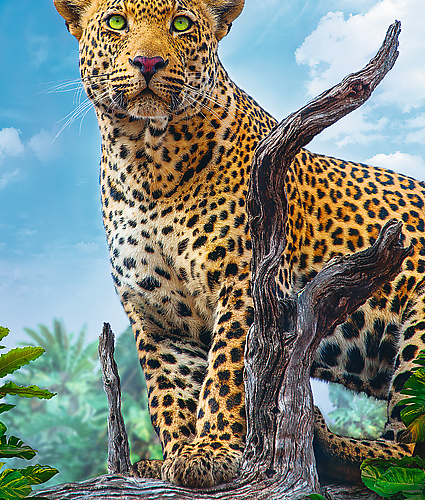 پازل ۵۰۰ تکه لئوپارد - پلنگ