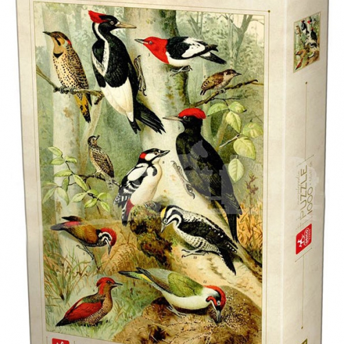 پازل ۱۰۰۰ تکه دایره المعارف پرندگان