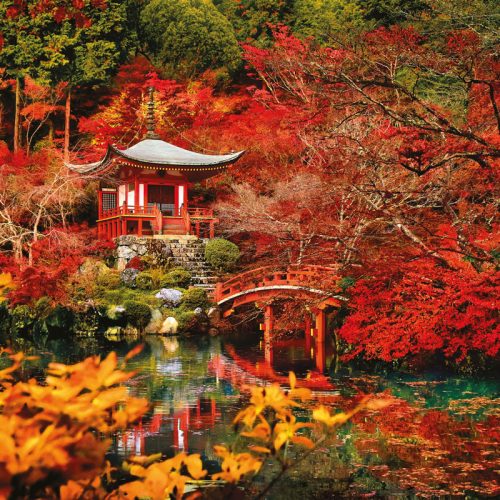 پازل ۵۰۰ تکه رویای شرقی