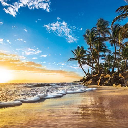 پازل ۱۵۰۰ تکه طلوع گرمسیری